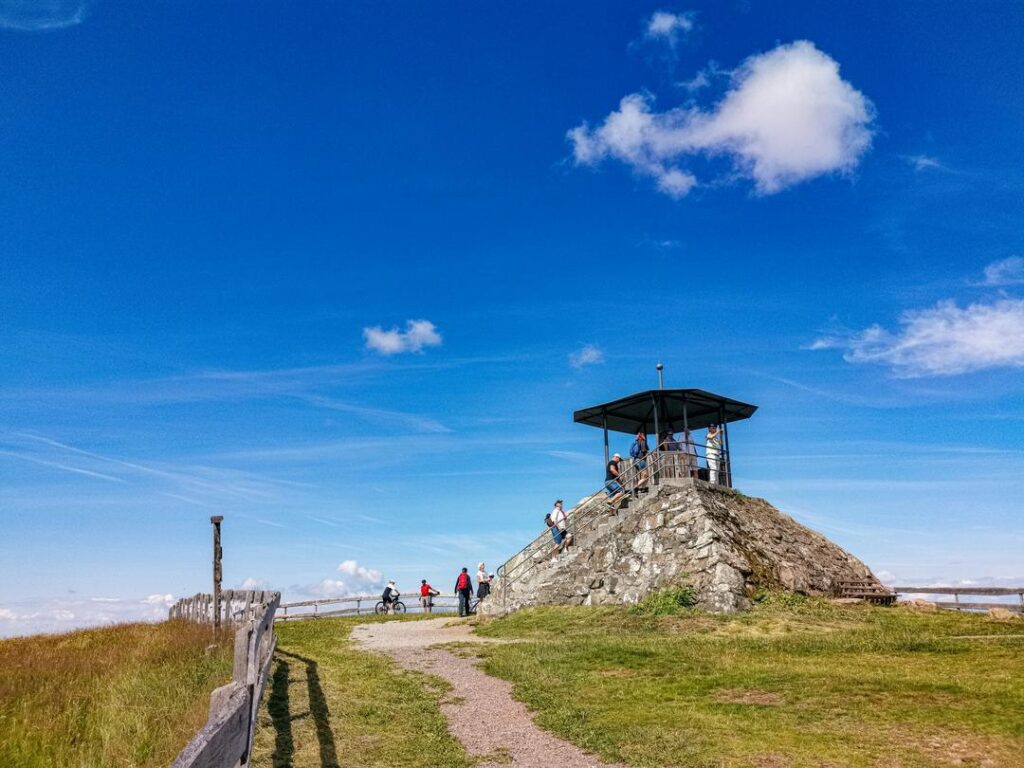 Kandelgipfel im Schwarzwald