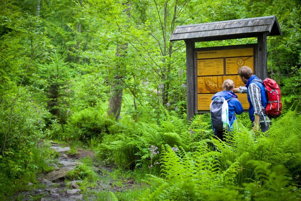 Die 10 schönsten Wanderregionen in Deutschland - Bayerischer Wald