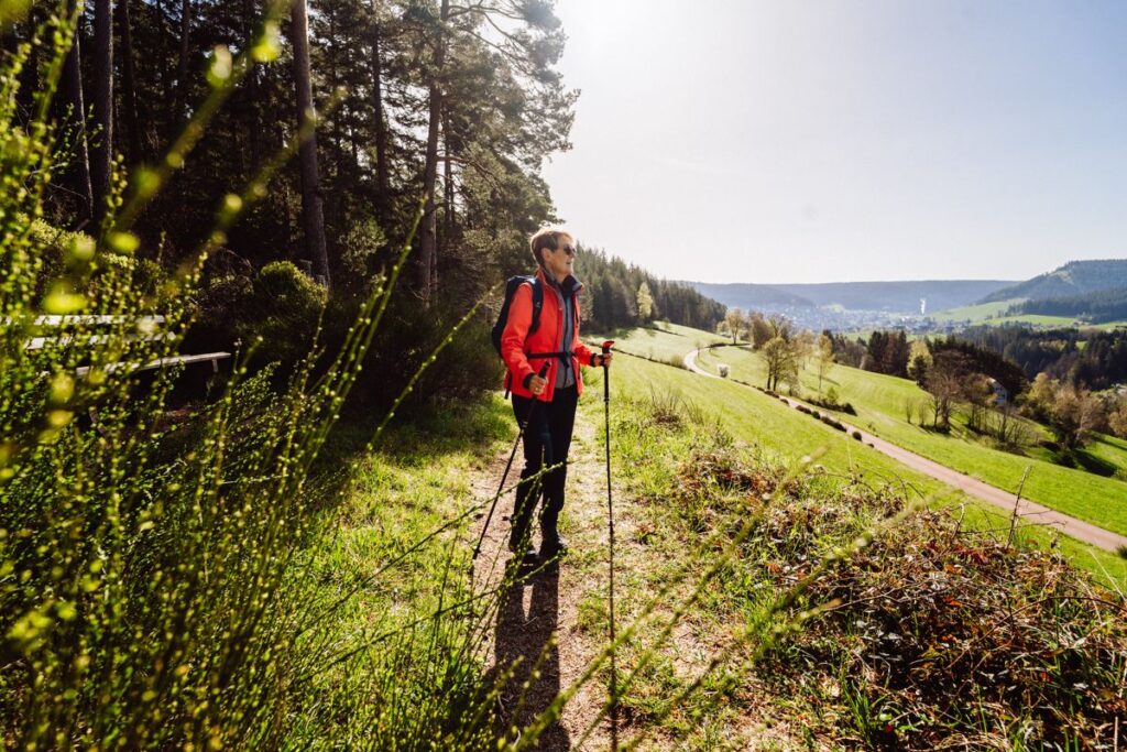 Wandern in Baiersbronn, Schwarzwald
